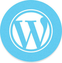 Wordpress Theme Development